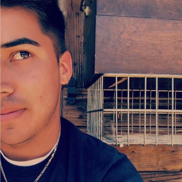 Meet your Posher, Peter - Picture 1 of 1